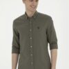 olivegreen