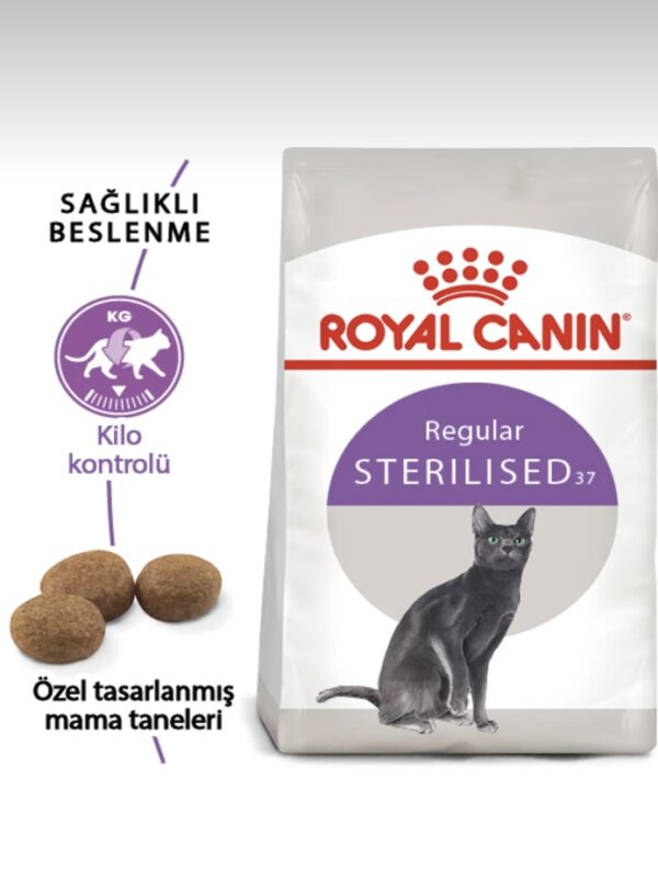 ROYAL CANIN Sterilised 37 Kısırlaştırılmış Kedi Maması 4kg