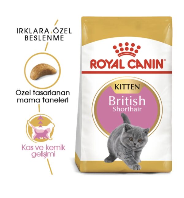 ROYAL CANIN Kitten British Shorthair Yavru Irk Kedi Maması 2 Kg - Image 2