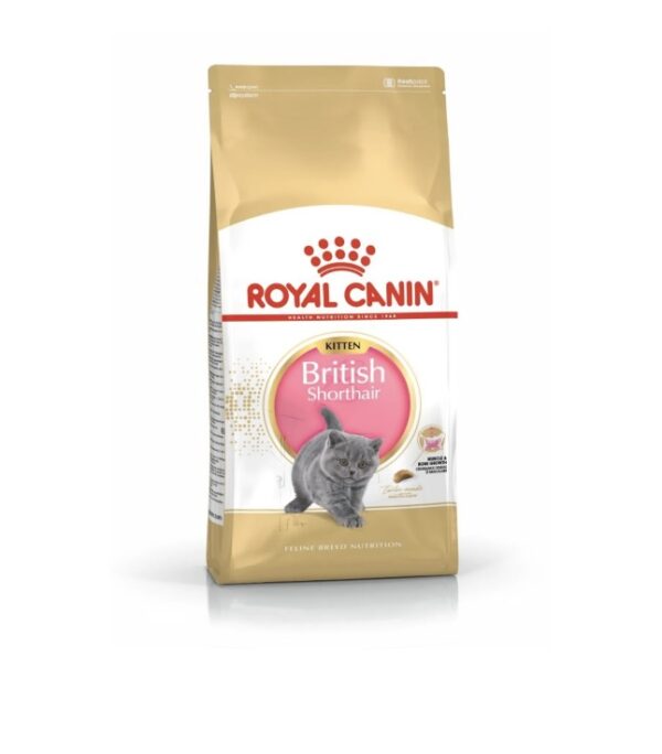 ROYAL CANIN Kitten British Shorthair Yavru Irk Kedi Maması 2 Kg