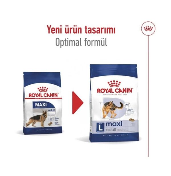 ROYAL CANIN Maxi Adult Büyük Köpek Maması 15 Kg - Image 2