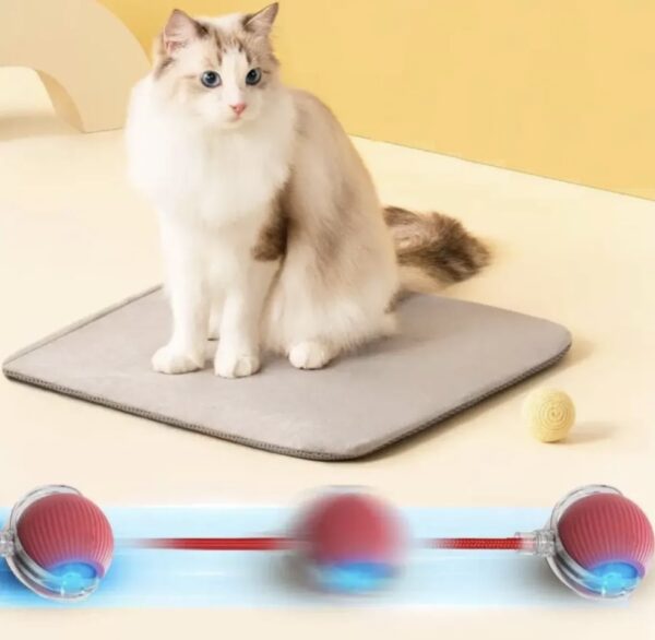 HESPERUS Kedi Köpek İçin Kendinden Hareketli, Şarjlı ve 360 Derece Dönen İnteraktif Akıllı Oyun Topu - Image 7